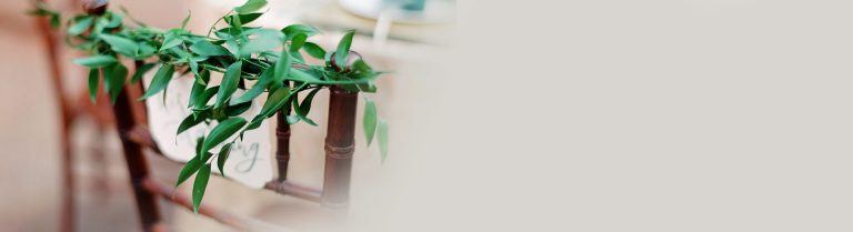 Wedding at Amarante's Sea Cliff