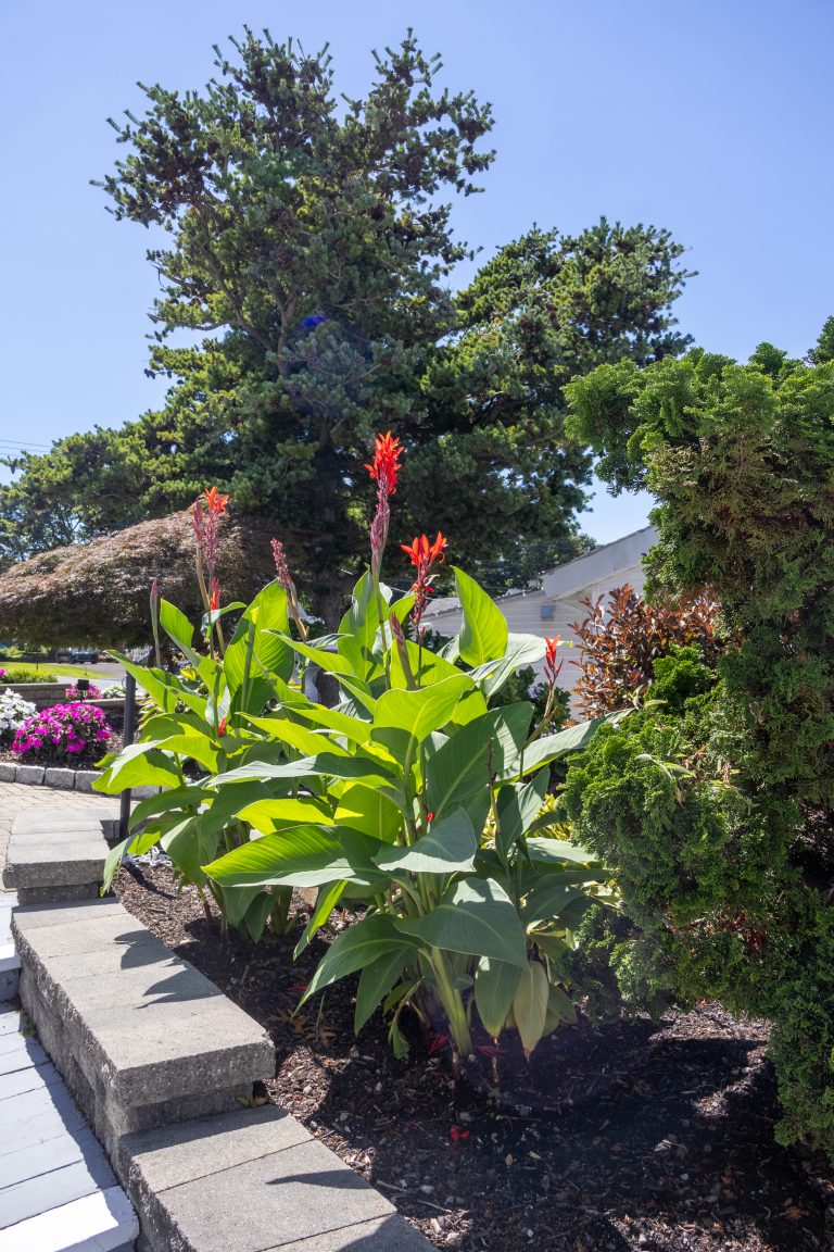 Waterfront grounds on Morris Cove